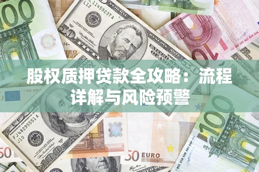 北京股权质押贷款全攻略：流程详解与风险预警